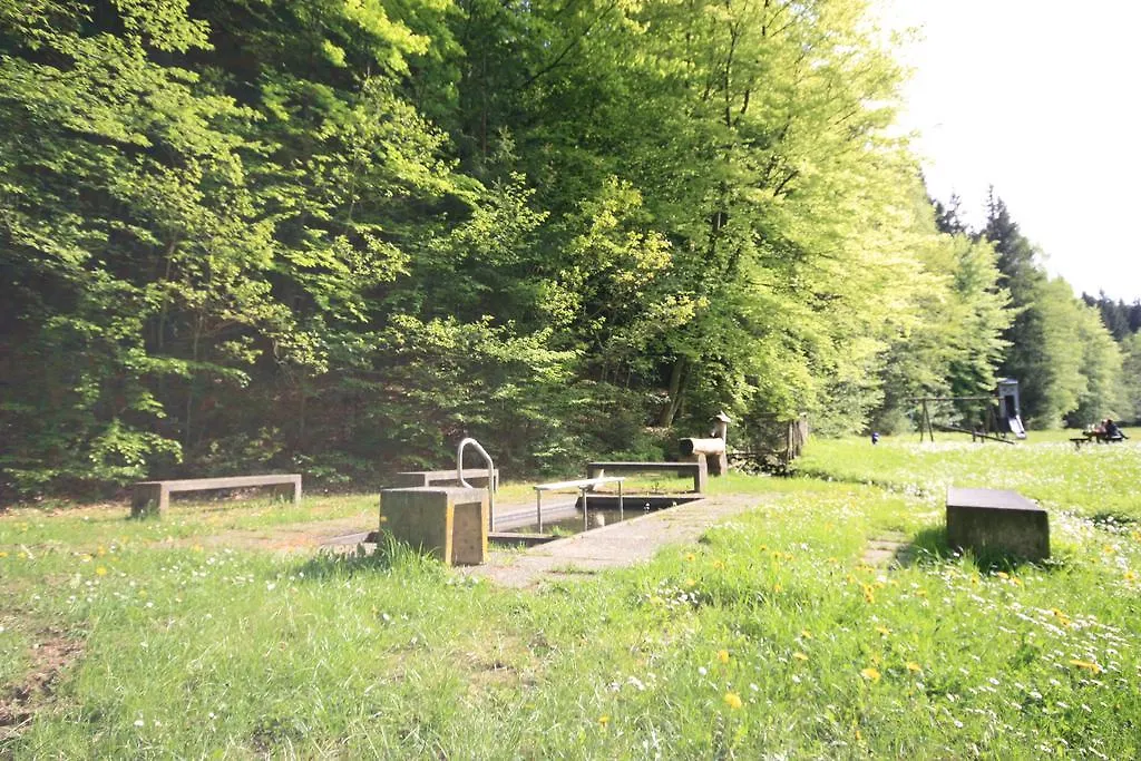 Pension-Ferienwohnung Liesbachtal Direkt Am Waldrand Bayerische Rhoen 3*, Schonau an der Brend Germany