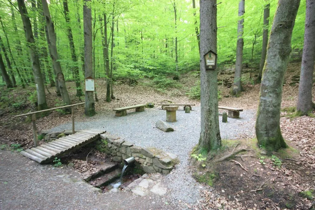 Pension-Ferienwohnung Liesbachtal Direkt Am Waldrand Bayerische Rhoen Guest house Schonau an der Brend